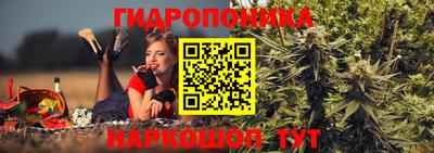 крисы Гусь-Хрустальный