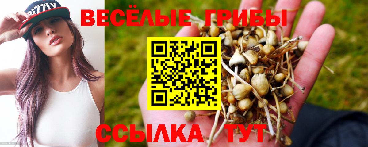 Минусинск  Галлюциногенные грибы Cubensis  Вход с VPN 